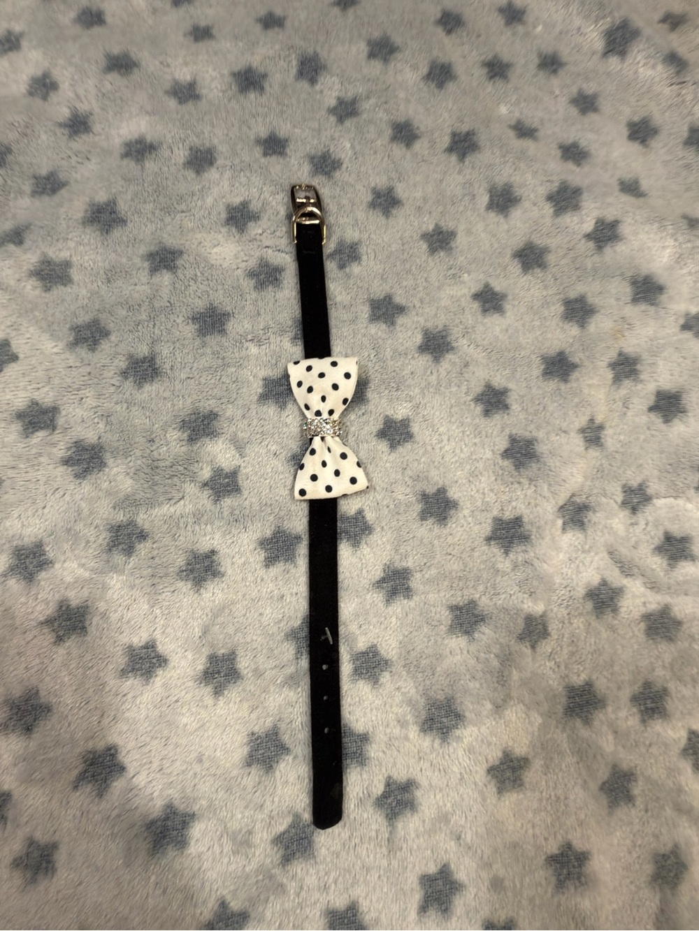 Susan Lanci Black Dog Collar with White Polka Dot Bow small nouveau bow